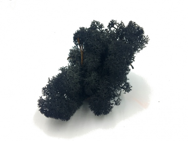 Purified Reindeer Moss Dark Gray 2,5 kg Norwegian